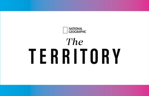 ‘The Territory’ Documents Destruction Of Brazilian Rainforest, And How One Indigenous Community Is Fighting Back – Contenders TV: The Nominees