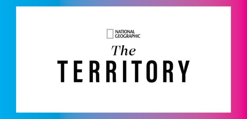 ‘The Territory’ Documents Destruction Of Brazilian Rainforest, And How One Indigenous Community Is Fighting Back – Contenders TV: The Nominees