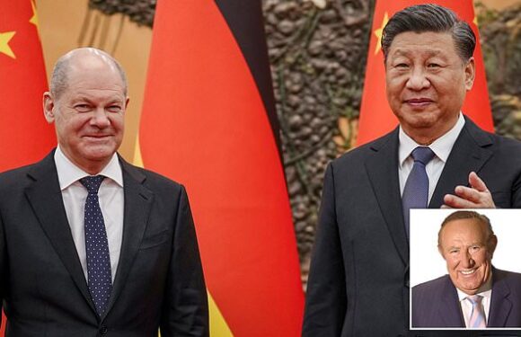 ANDREW NEIL: We were told powerhouse Germany would dominate Europe