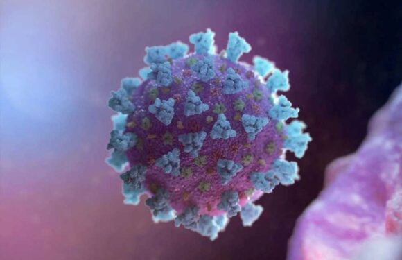 ANOTHER new Covid variant dubbed Eris sweeps UK – and there’s a surprising reason cases are up this summer | The Sun