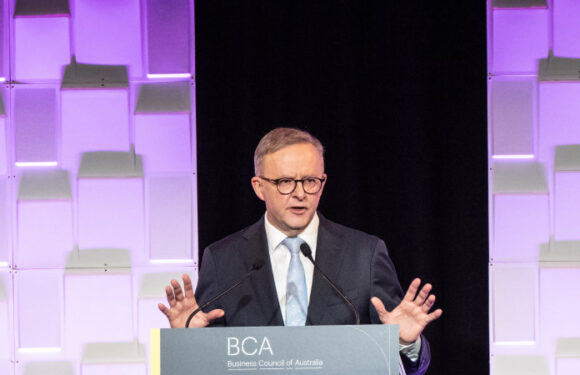 Albanese open to reform but Chalmers shuts down talk of corporate tax cuts