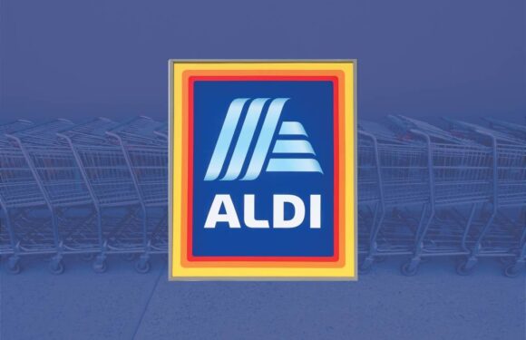 Aldi Is Selling a $20 Handheld Steam Cleaner That Costs Half the Price of a Bissell