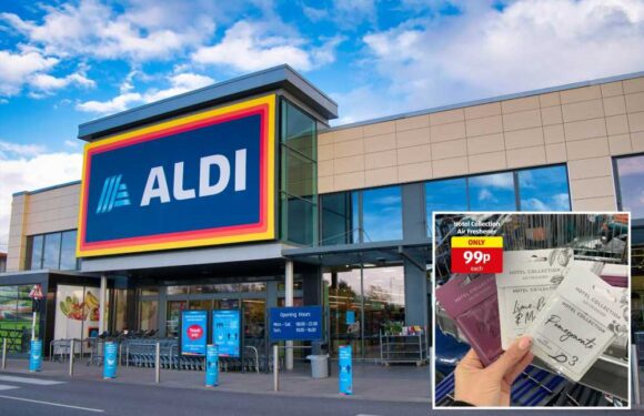 Aldi shoppers are scrambling to buy new air fresheners – they smell just like Jo Malone and cost less than £1 | The Sun