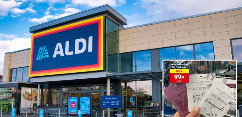 Aldi shoppers are scrambling to buy new air fresheners – they smell just like Jo Malone and cost less than £1 | The Sun