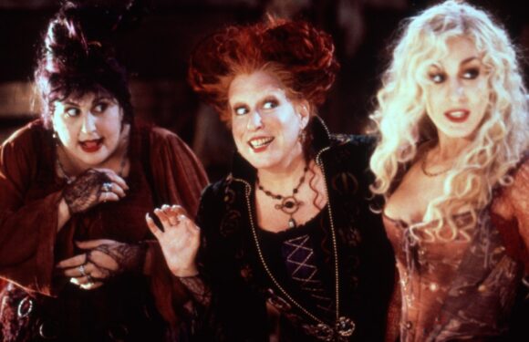 Amazon Just Dropped the Cutest $6 'Hocus Pocus' Pillow Covers & They're Already a #1 New Release