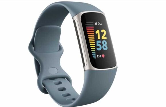 Amazon shoppers rush to buy 'excellent' £170 Fitbit appearing in basket for £90 | The Sun