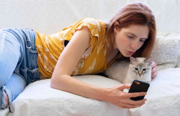 App that translates cats’ meows into human language is a big hit with pet owners