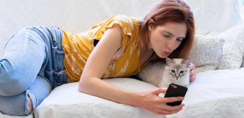 App that translates cats’ meows into human language is a big hit with pet owners