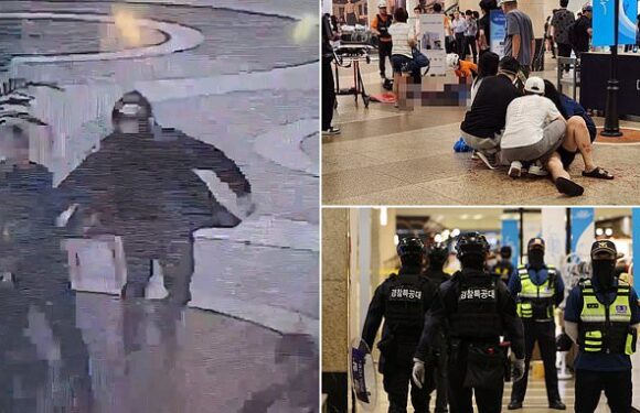 Armed attacker injures at least 13 people in South Korea