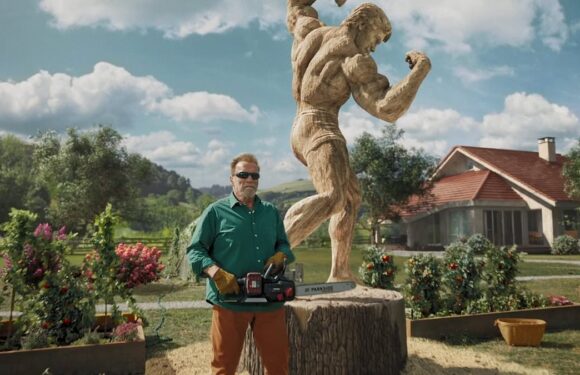 Arnold Schwarzenegger in television ad for discount supermarket Lidl