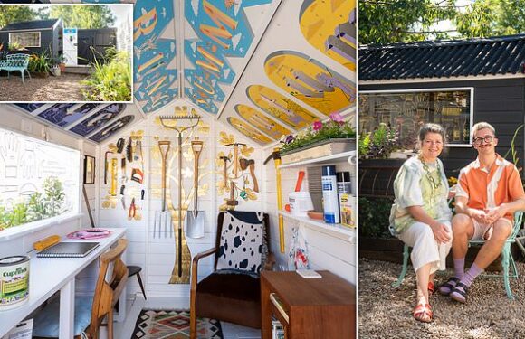 Artist's 'Frankenshed' hut built from old timber wins shed of year