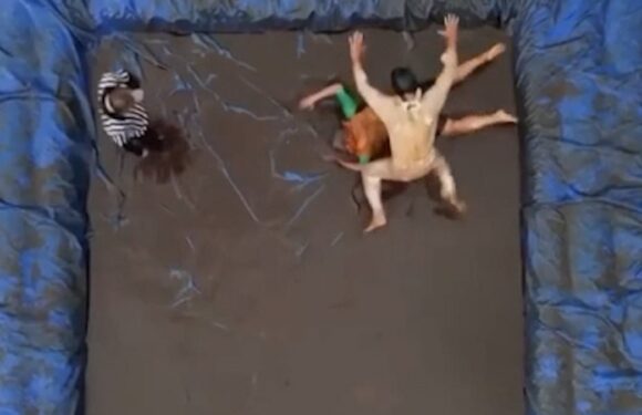 BBC viewers are left open-mouthed as reporter wrestles in GRAVY