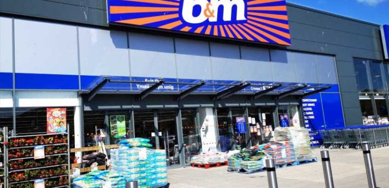 B&M shoppers rush to buy three-piece garden set scanning at tills for £25 instead of £200 | The Sun
