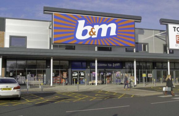 B&M August bank holiday 2023 opening times: What time are stores open? | The Sun