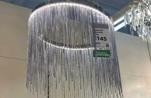 Bargain hunters race to Dunelm to nab a light fitting that's been reduced by over £100…but you must be quick to nab one | The Sun