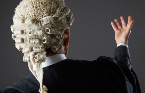 Barrister explains why they wear 'horsehair' wigs in court