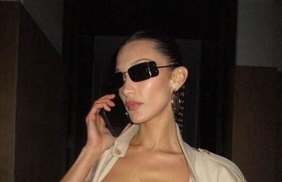 Bella Hadid Slapped With Lawsuit for Posting Paparazzi Photo of Herself