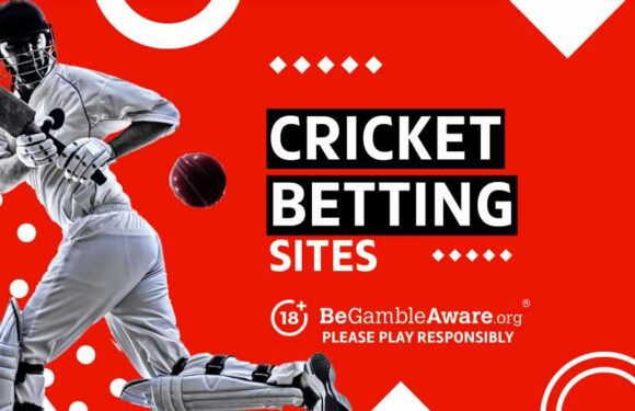 Best Cricket Betting Sites – Top Sites to Bet on Cricket in 2023 | The Sun