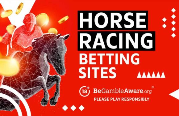 Best Horse Racing Betting Sites UK – August 2023 Horse Race Bets | The Sun