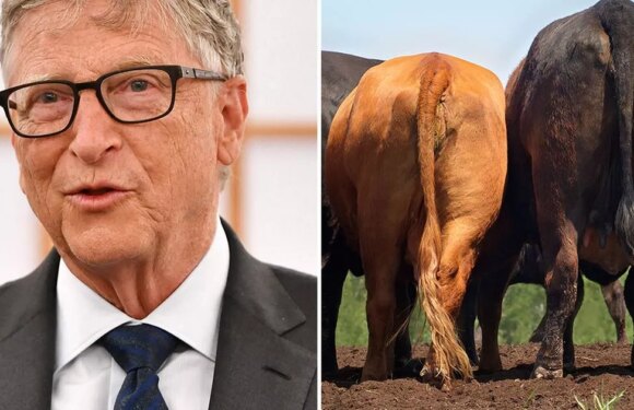 Bill Gates invests £9.7 million in ‘tackling cow farts’ through Aussie startup