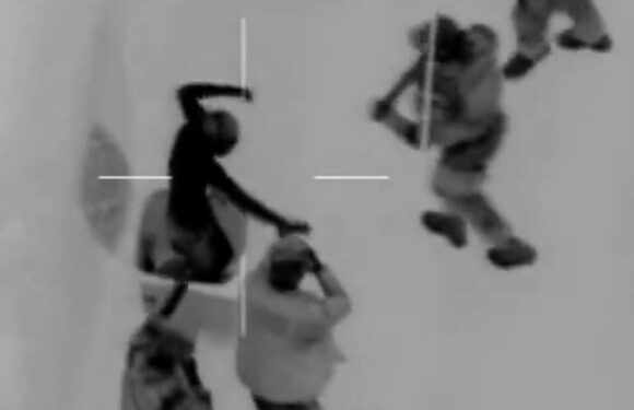 Bizarre moment armed police arrest suspect hiding in a wheelie bin