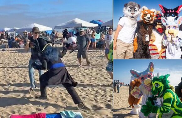Bizarre moment man is attacked by FURRY in Huntington Beach