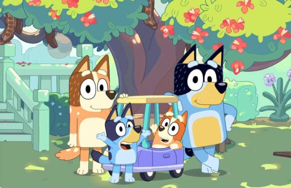 Bluey voice actors: Who are the stars of the hit children's TV show? | The Sun