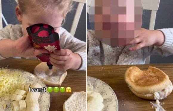 Brave mum thought it’d be fun to let her four-year-old pick her lunch but the results are stomach-churning | The Sun