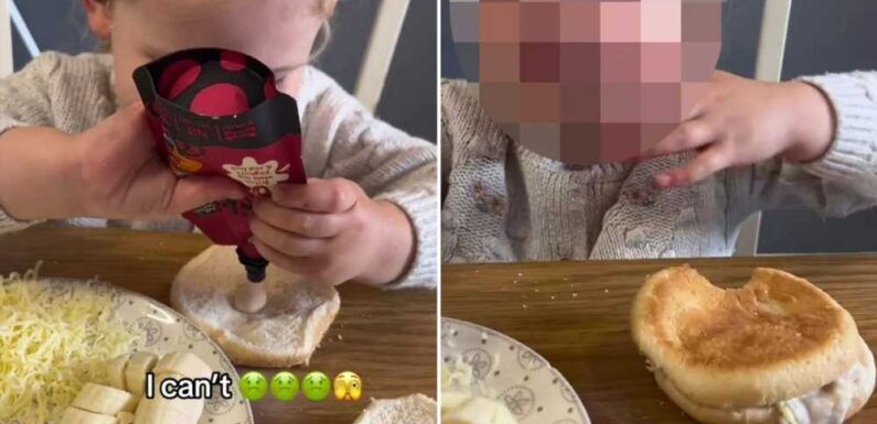Brave mum thought it’d be fun to let her four-year-old pick her lunch but the results are stomach-churning | The Sun