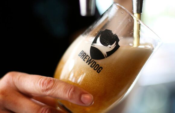 Brewdog to slash price of pints as temperatures soar this week