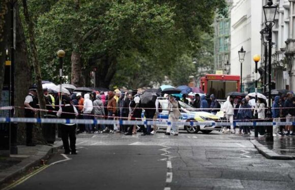 British Museum stabbing: Brady Wilson, 37, charged with GBH after 'knifing visitor' at iconic landmark | The Sun