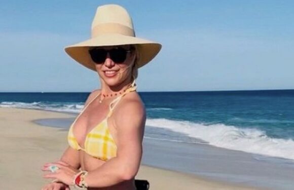 Britney Spears breaks silence after Sam Asghari files for divorce in bizarre horse post