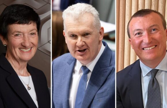 Business council appoints Liberal staffer to top job as IR showdown looms