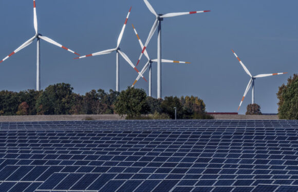 Business rejects Coalition fight against ‘reckless’ renewables rollout