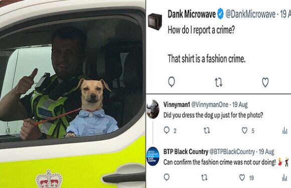 Call the fashion police! Officers confiscate dog wer her pet