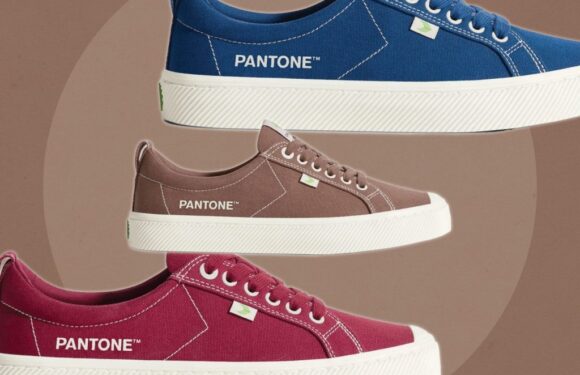 Cariuma Dropped New Cozy & Warm Shades of Its Celeb-Loved Sneakers Just in Time for Fall