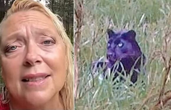 Carole Baskin warns Brits as she claims big cat spotted is a leopard