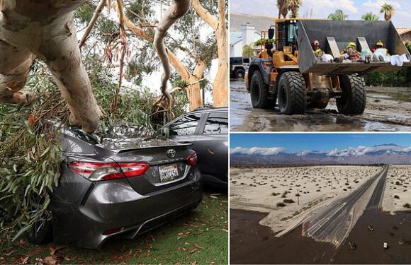 Cathedral City in chaos: Incredible photos show rescue mission