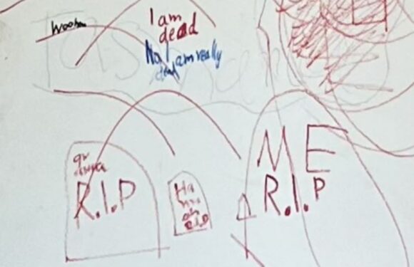 Chilling ‘death wall’ found inside mushroom cook Erin Patterson’s former home daubed with eerie drawings & messages | The Sun