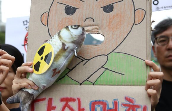 China bans Japanese seafood as Fukushima water release begins