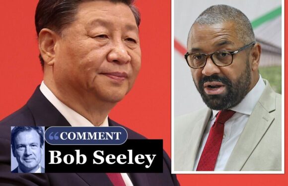 ‘China cannot be allowed to dominate Britain and force us to rely on them’