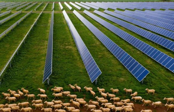 Clean energy push hits hurdle amid fight over farmland