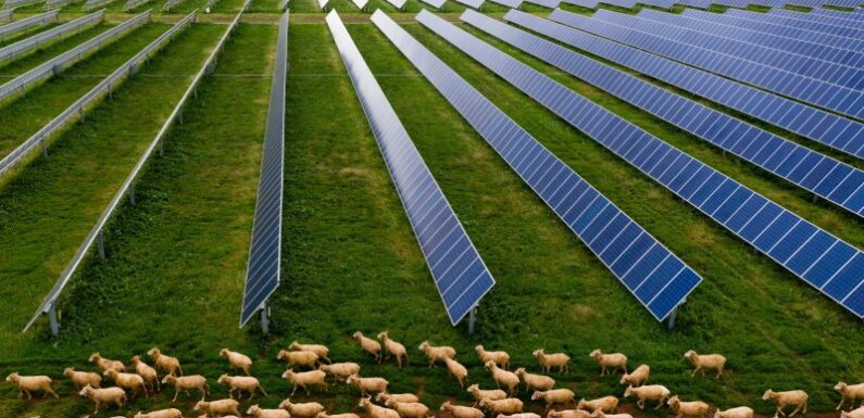 Clean energy push hits hurdle amid fight over farmland
