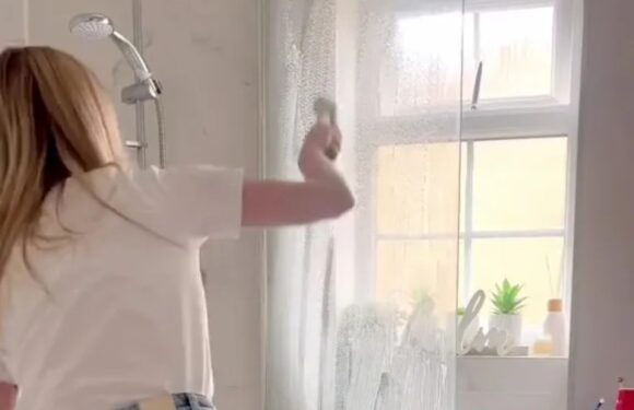 Cleaning whizz shares her top three hacks to clean the bathroom in under 10 minutes | The Sun