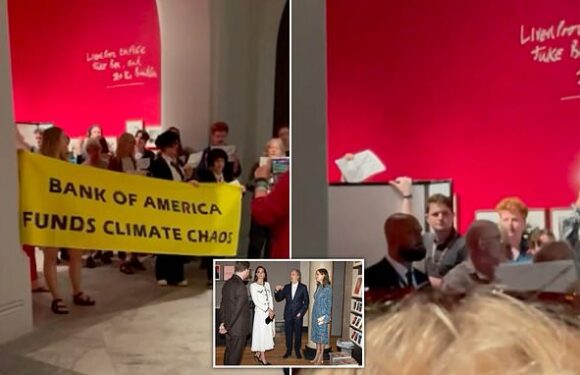 Climate change campaigners SHUT DOWN Paul McCartney exhibition