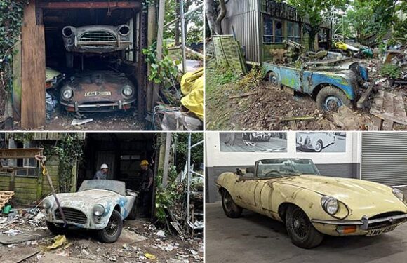 Collection of rusting classic cars tipped to sell for £200,000