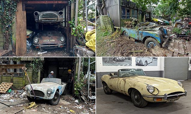 Collection of rusting classic cars tipped to sell for £200,000