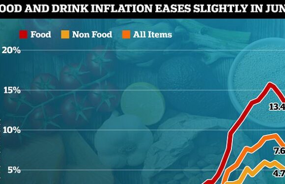 Cost of food staples go down but shoppers' relief could be short lived