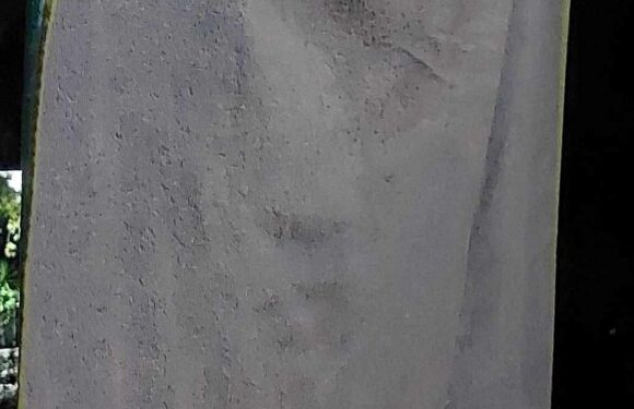 Couple are shocked after seeing Elvis' face in their beach towel