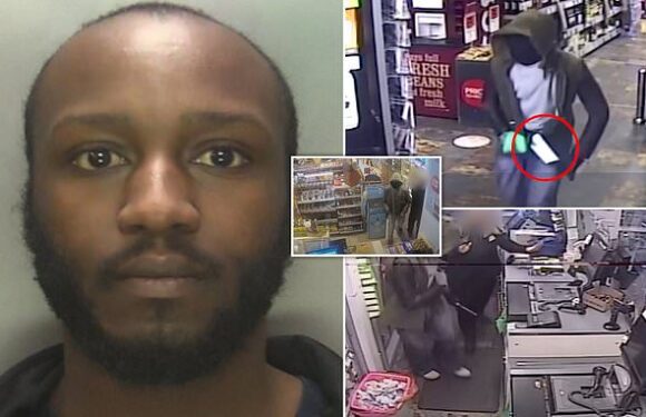 Criminology graduate who carried out 18 robberies jailed for 15 years